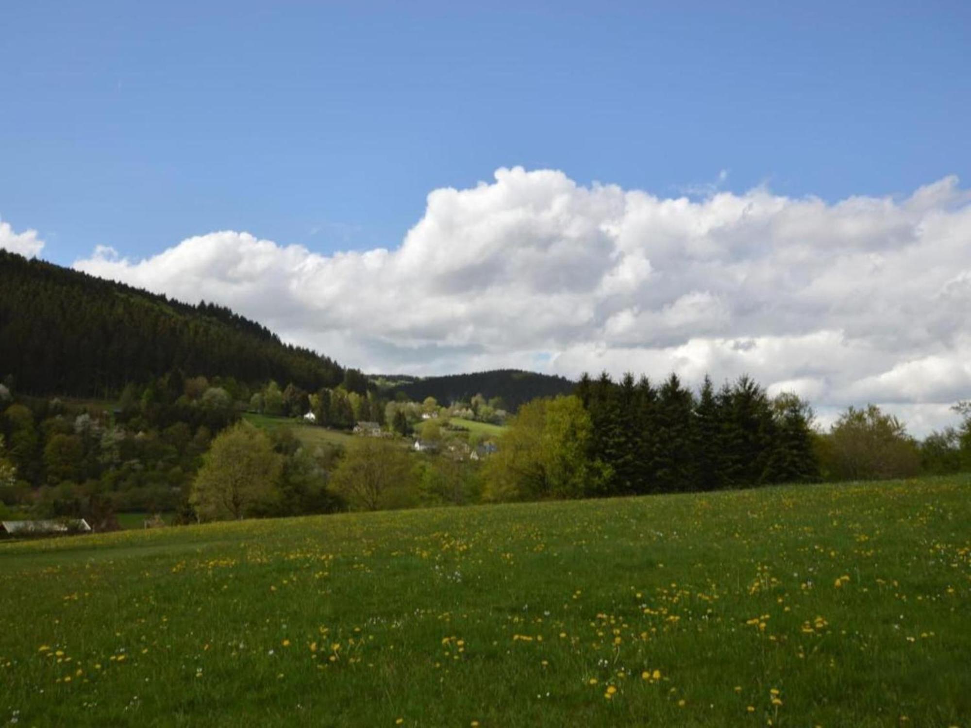 Cosy Holidayhome Near The Forest Zendscheid エクステリア 写真